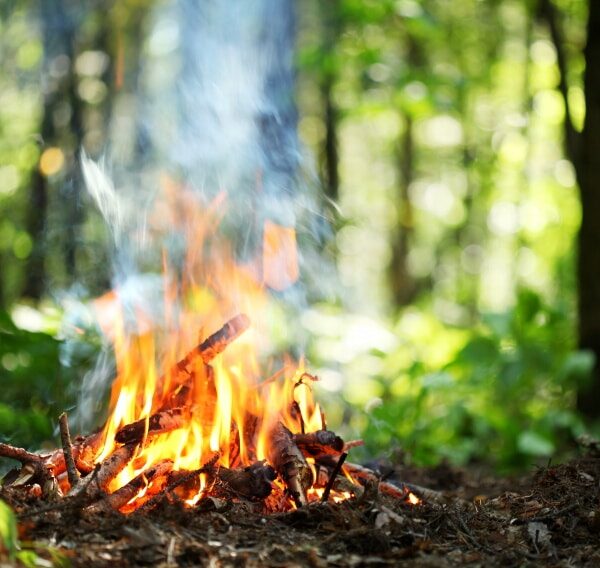 Comment recycler les cendres de votre cheminée au jardin ?