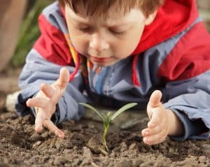 activites pour jardiner avec les enfants