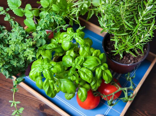 Faire un mini potager sur son balcon