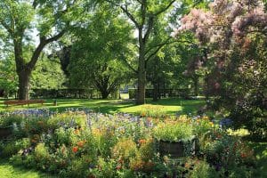 Un jardin boisé aux alentours de Reims