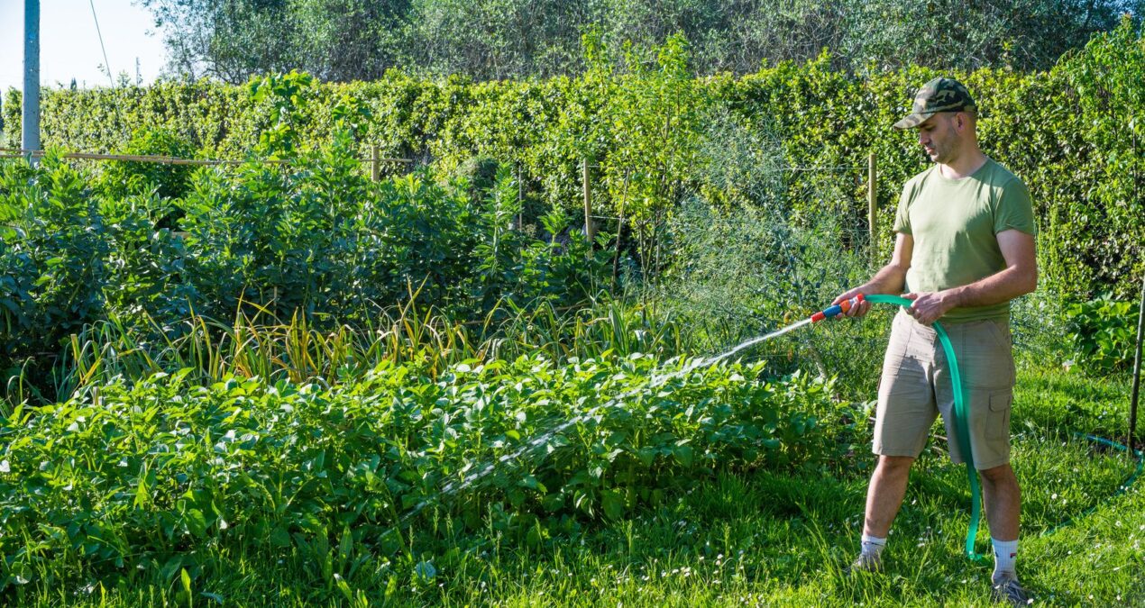 Quelle pompe à eau est la meilleure pour arroser votre jardin?