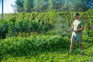 Pompe pour puits : une solution pratique pour l&rsquo;arrosage