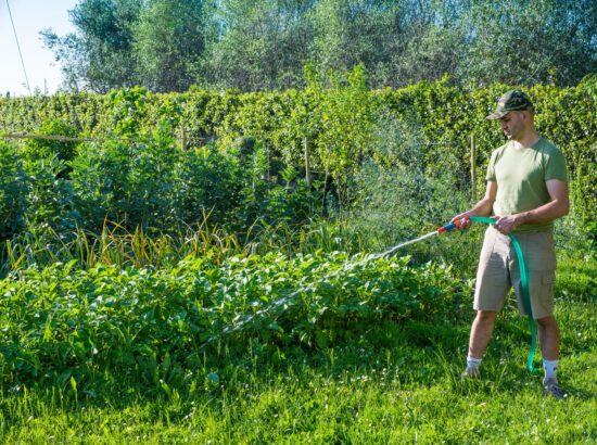 Pompe pour puits : une solution pratique pour l’arrosage