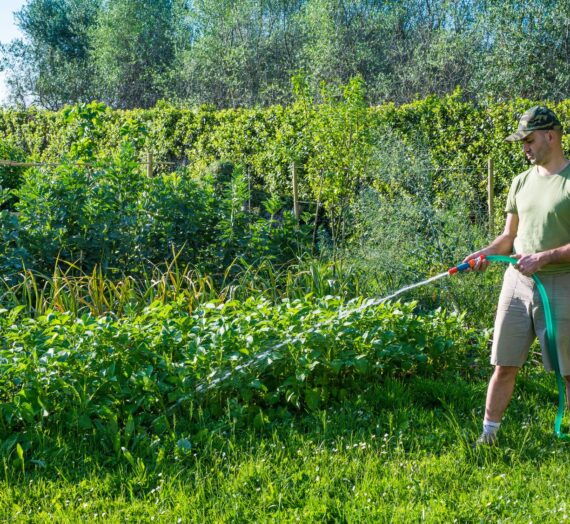 Pompe pour puits : une solution pratique pour l’arrosage