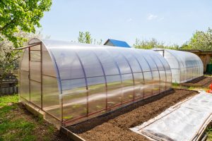 Choisissez la culture sous serre pour votre potager