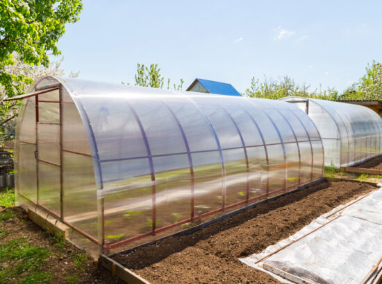 Choisissez la culture sous serre pour votre potager