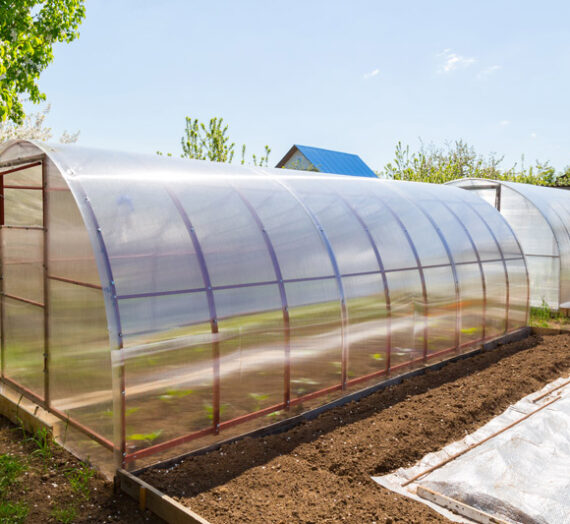 Choisissez la culture sous serre pour votre potager