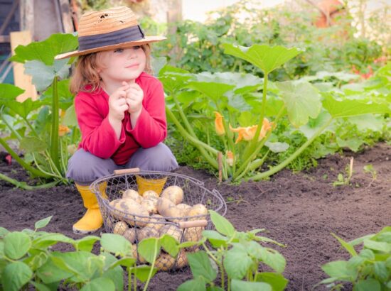 Les étapes pour préparer son potager bio