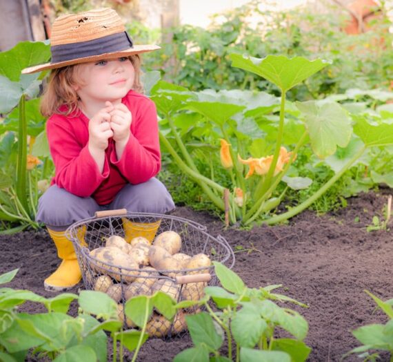 Les étapes pour préparer son potager bio