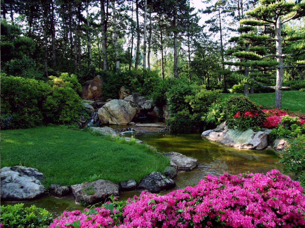 Jardin paysagre japonais avec un bassin