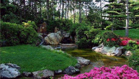Jardin paysagre japonais avec un bassin
