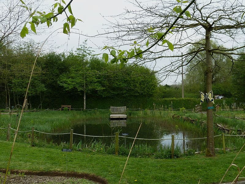 Construire une mare dans son jardin